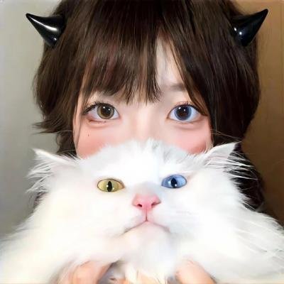 马里布救生队