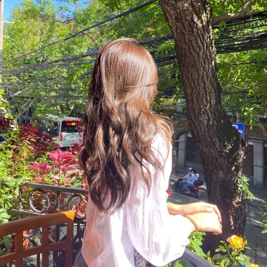 泰迪熊2